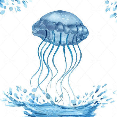 WM STOCK PHOTO Sea Life Watercolour Jellyfish Swimming in Painted Water Splashes Square Size