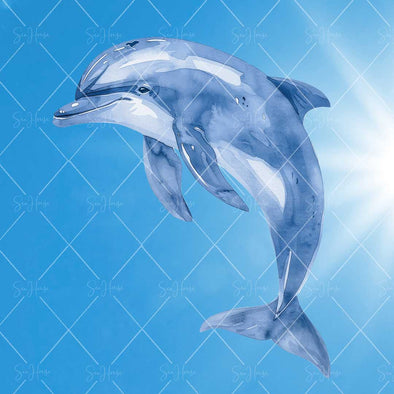 WM STOCK PHOTO Sea Life Watercolour Dolphin  Jumping With Sun Glare Square Size