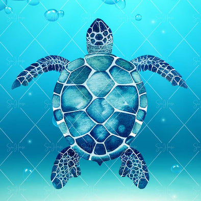 WM STOCK PHOTO Sea Life Watercolour Turtle Swimming Looking From Above Square Size