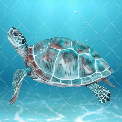 WM STOCK PHOTO Sea Life Watercolour Turtle  Swimming Underwater with Head Up Square Size