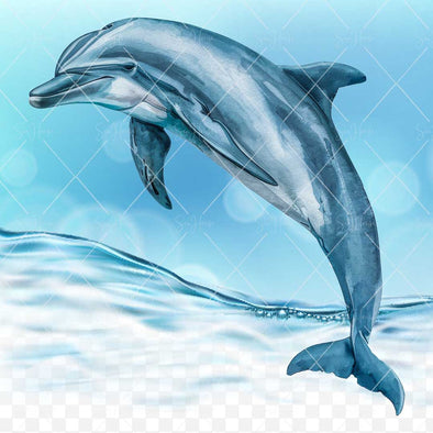 WM STOCK PHOTO Sea Life Watercolour Dolphin Jumping Above Water Square Size