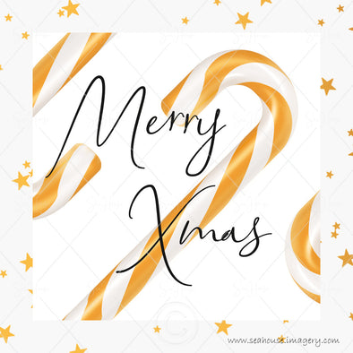 WM Merry Xmas Gold Candy Cane and Stars Black Elegant Text Square Size