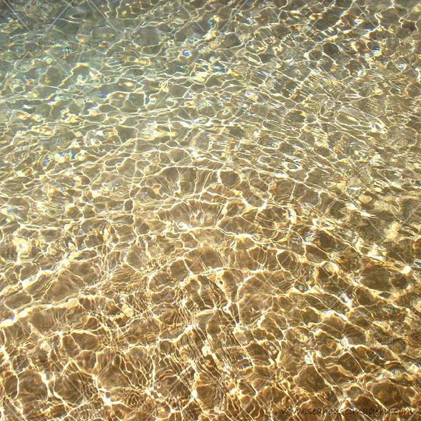 Stock Photo Beach Background Golden Sea Sparkle 5539 Square Size