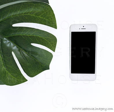 WM Phone and Monstera Leaf 8104 Square Size
