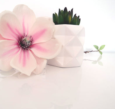 Ways to Use Styled Stock Photography Soft, Pink Magnolia and Succulent in White Vase