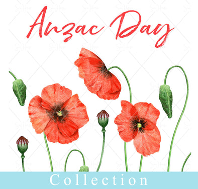 ANZAC DAY COLLECTION