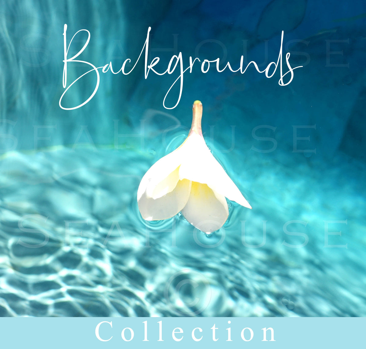 Backgrounds Backdrops and Abstract Collection Image