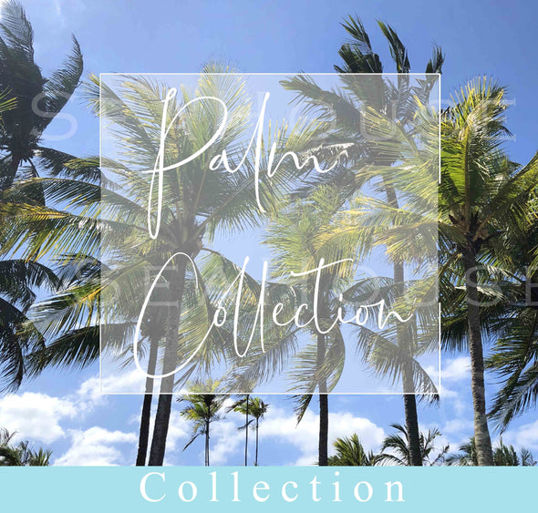 Palm Collection Image