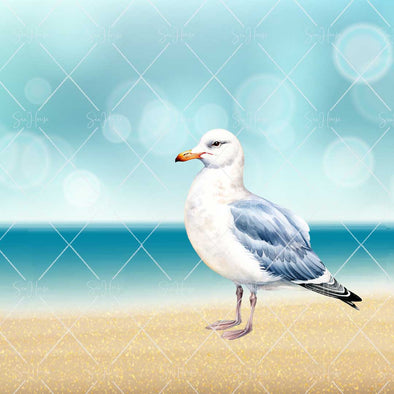 WM STOCK PHOTO Sea Life Watercolour Seagull Standing On Sand Square Size