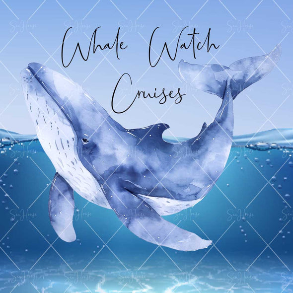 WM STOCK PHOTO Sea Life "Whale Watch Cruises" Watercolour Whale Square Size