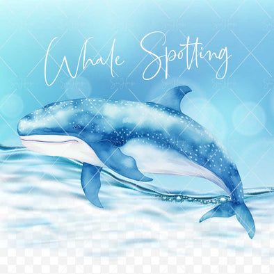 WM STOCK PHOTO Sea Life "Whale Spotting" Watercolour Whale 29 Square Size