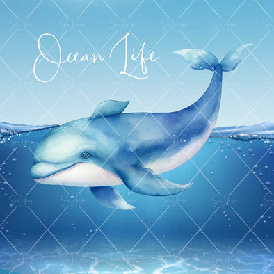 WM STOCK PHOTO Sea Life "Ocean Life" Watercolour Dolphin 31 Square Size