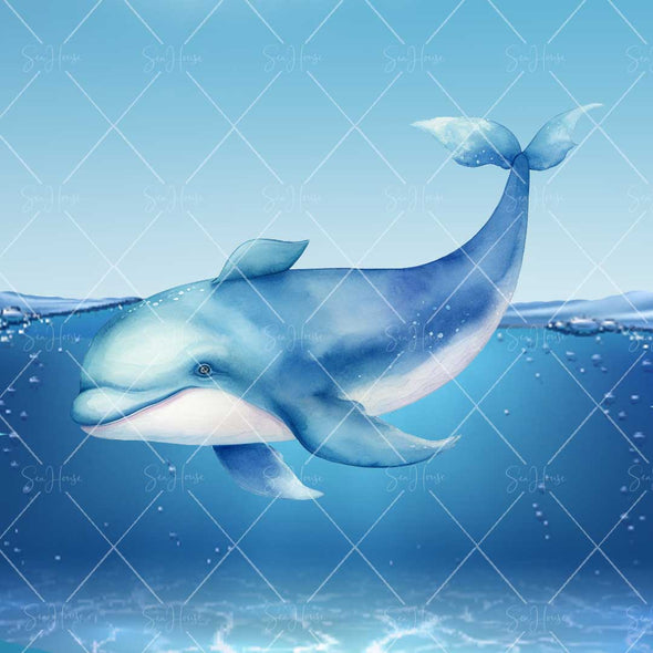 WM STOCK PHOTO Sea Life Watercolour Dolphin Swimming Underwater Square Size