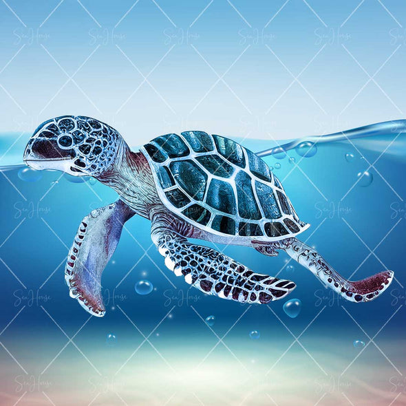 WM STOCK PHOTO Sea Life Watercolour Turtle Swimming Partly Underwater Square Size