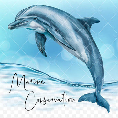 WM STOCK PHOTO Sea Life "Marine Conservation" Watercolour Dolphin Square Size