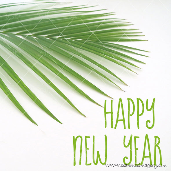 WM Happy New Year Green Text Palm 5896 Square Size
