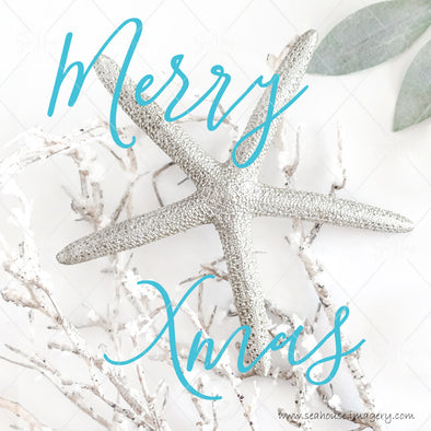 WM Merry Xmas Starfish Big Snow Twig Touch of Greenery Blue Text 1426 Square Size