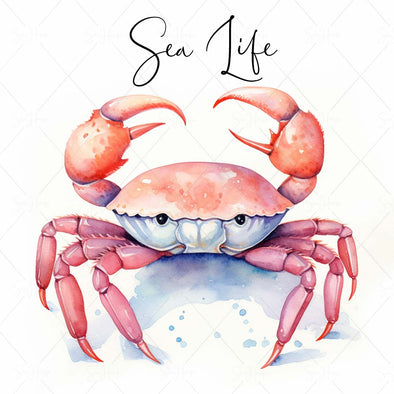 WM STOCK PHOTO Sea Life "Sea Life" Watercolour Crab 10 Square Size