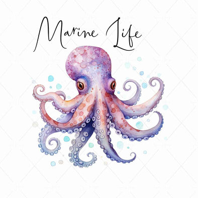 WM STOCK PHOTO Sea Life "Marine Life" Watercolour Octopus 15 Square Size
