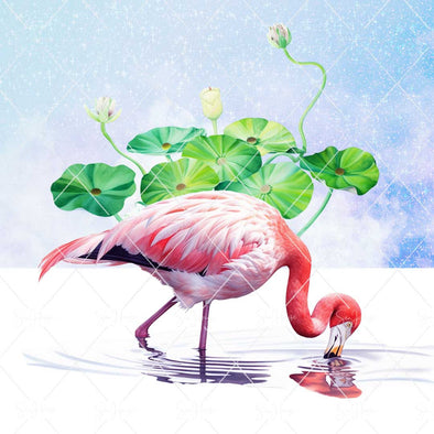 WM STOCK PHOTO Sea Life Watercolour Flamingo Feeding Lily Pads in Background Square Size