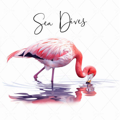 WM STOCK PHOTO Sea Life "Sea Dives" Watercolour Flamingo Eating in Water 1 Square Size