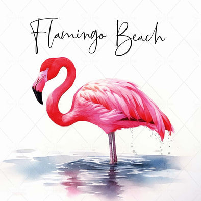 WM STOCK PHOTO Sea Life "Flamingo Beach" Watercolour Flamingo in Deeper Water 3 Square Size
