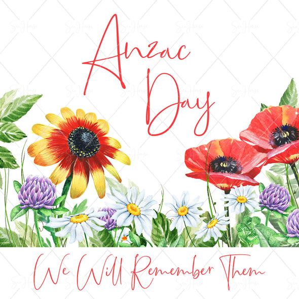 STOCK PHOTO Anzac Day Red Poppies & Other Flowers We Will Remember Them Square Size