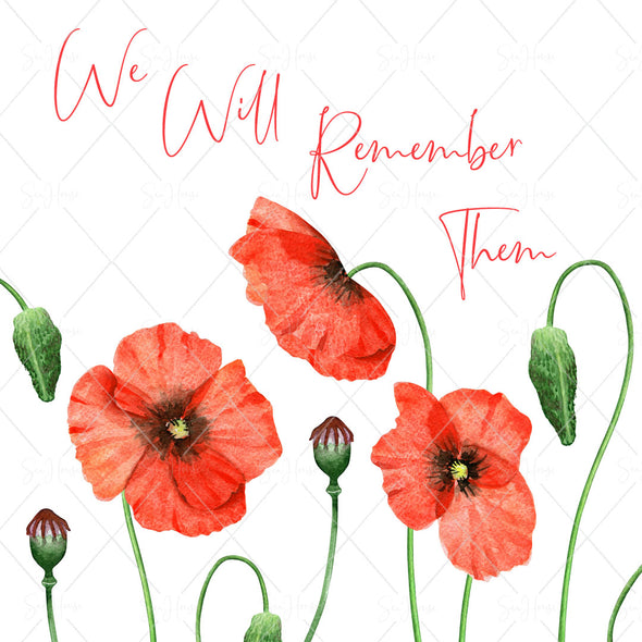 STOCK PHOTO Anzac Day Red Poppies We Will Remember Them Square Size