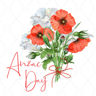 STOCK PHOTO Anzac Day Bouquet of Red Poppies & White Flowers Tied Bow Square Size