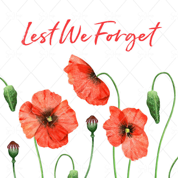 STOCK PHOTO Anzac Day Red Poppies Lest We Forget Square Size