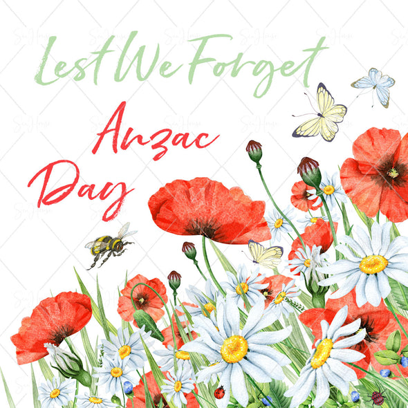 STOCK PHOTO Anzac Day Red Poppies & White Daisies on Side Lest We Forget Square Size