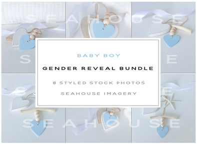 WM Bundle - Baby Boy Gender Reveal Bundle