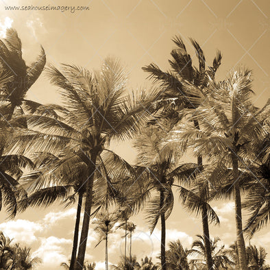 WM Background Antique Gold Palms Swaying 7645 Square Size
