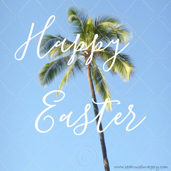 Stock Photo Happy Easter Palm Tree White Elegant P258 Square Size