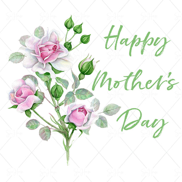 STOCK PHOTO Happy Mother's Day Single Stem of Pink Roses & Rose Buds Square Size