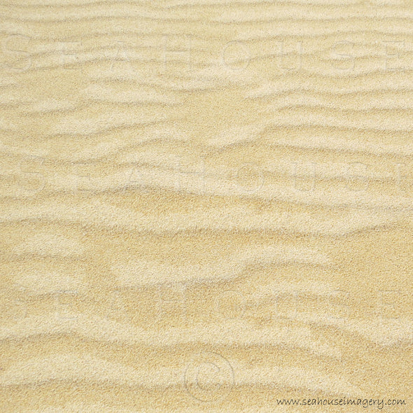 WM Background Beach Sand Ripples 9117 Square Size