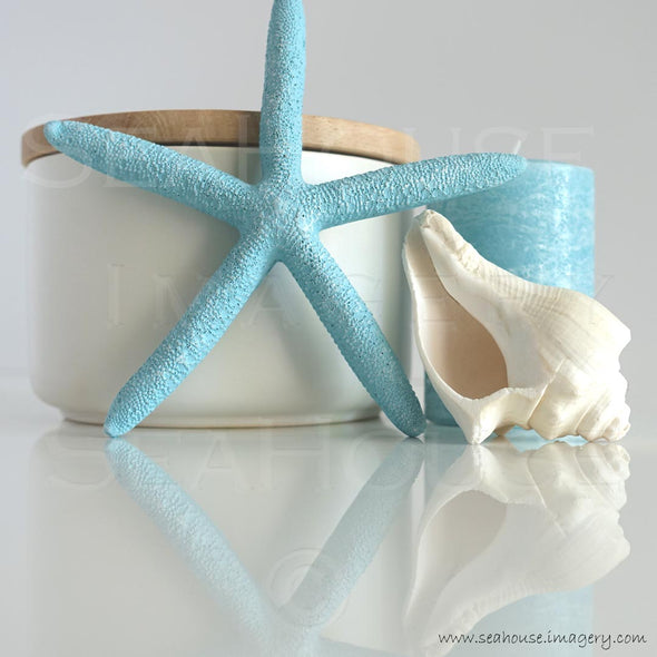 WM Blue Starfish White Shell Timber Canister 7445 Square Size